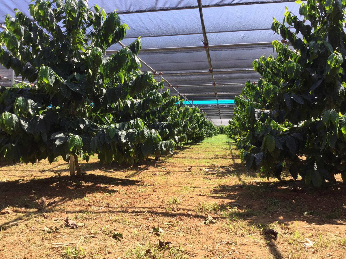 Matayoshi Coffee Farm Villa Higashi Exterior foto