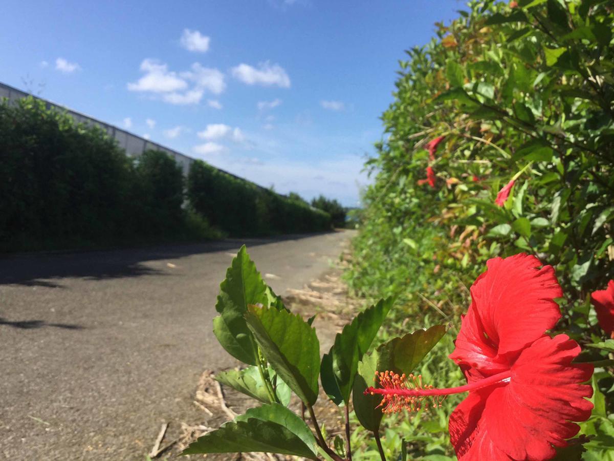 Matayoshi Coffee Farm Villa Higashi Exterior foto